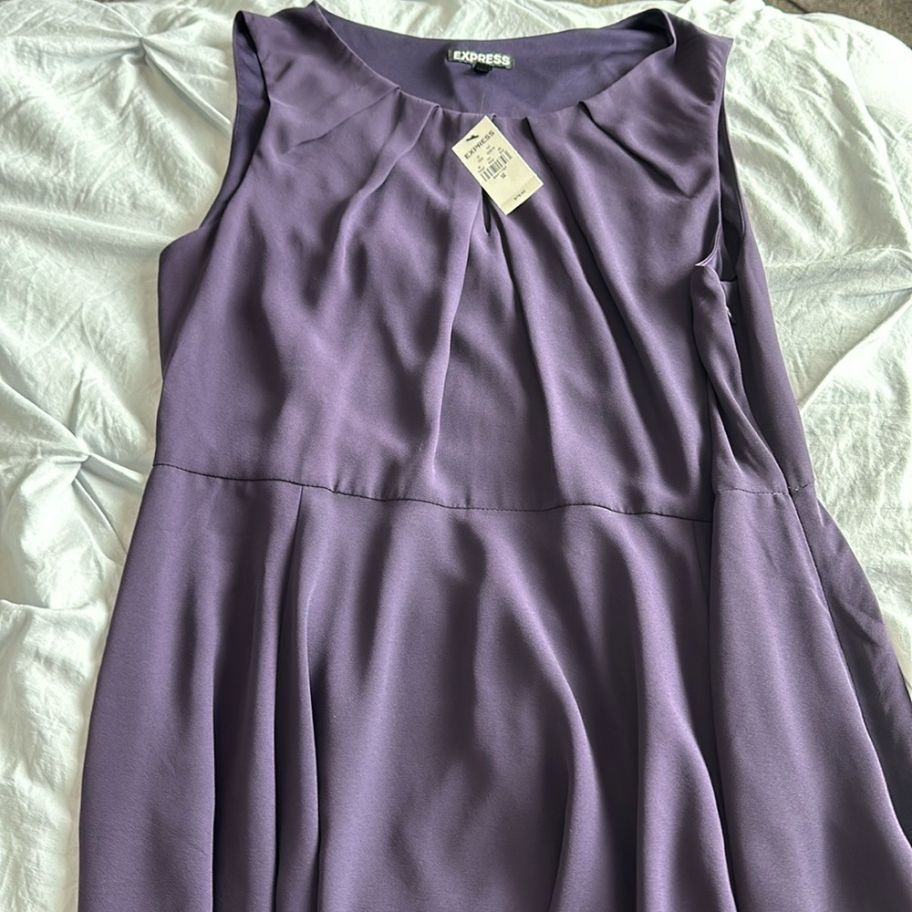 Express vintage dress